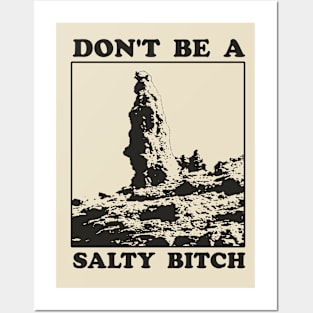 Don't Be A Salty Bitch Posters and Art